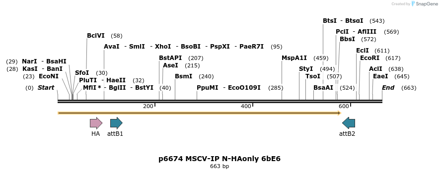 63311_map