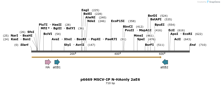 63312_map