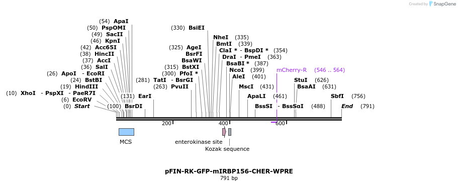 63314_map
