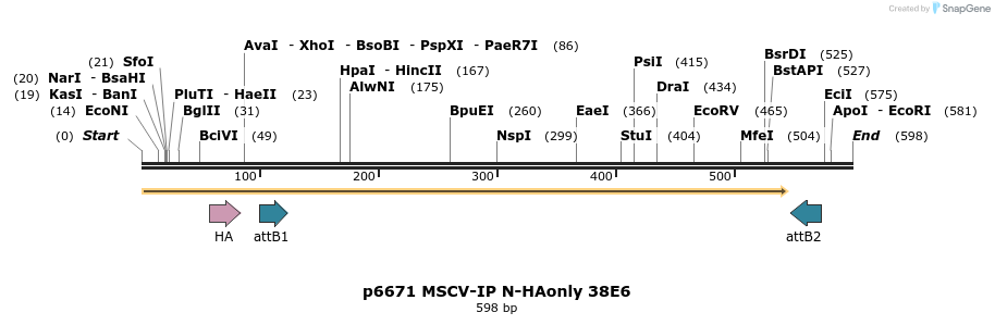 63317_map
