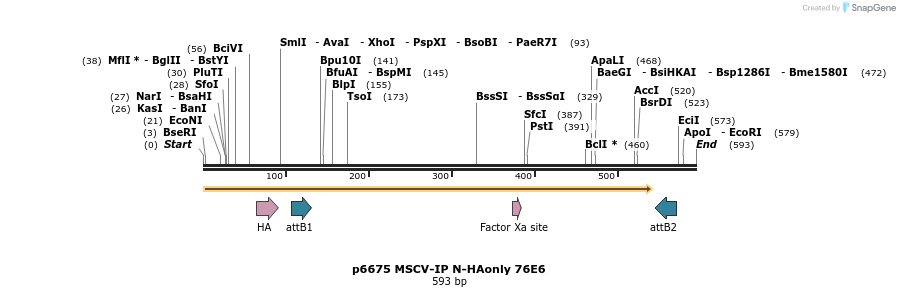 63318_map