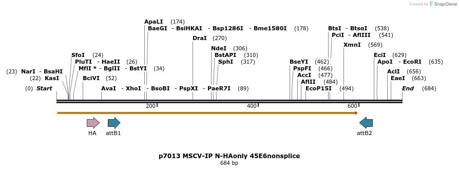 63319_map