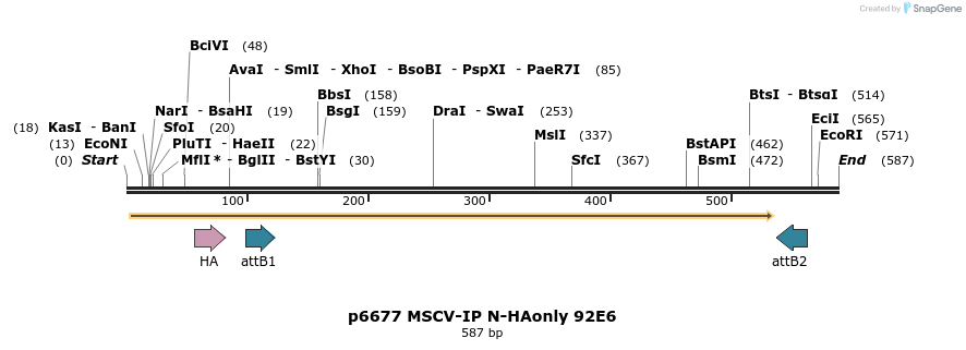 63320_map