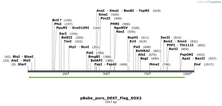 63321_map