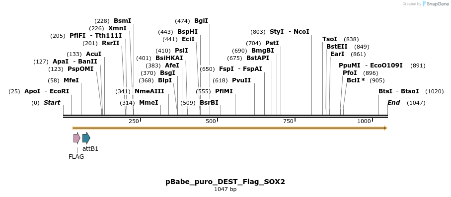 63322_map
