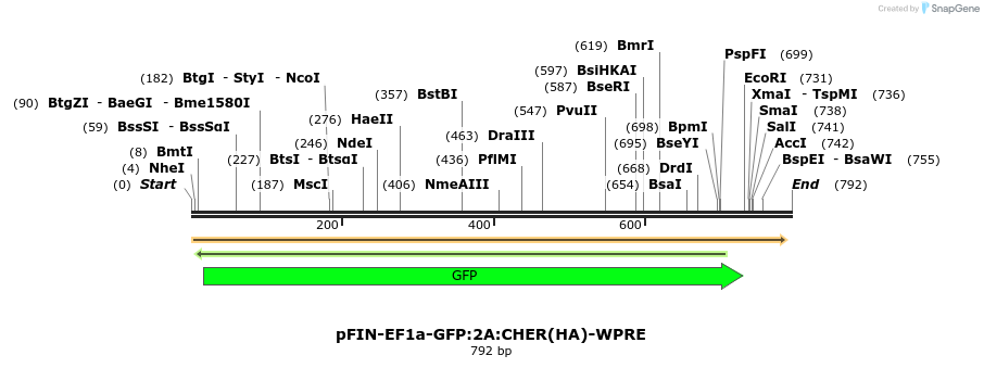 63323_map