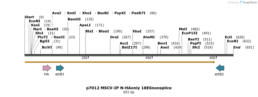 63324_map