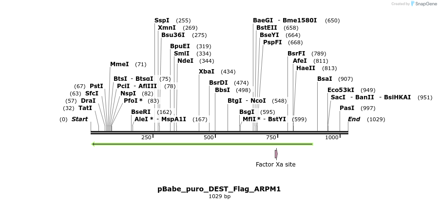 63325_map