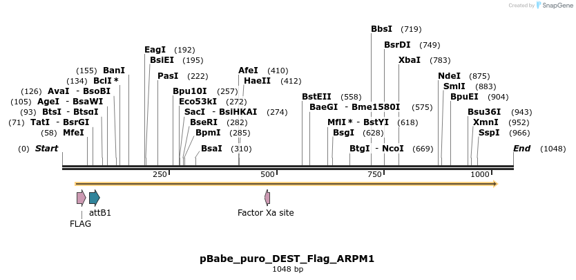 63326_map