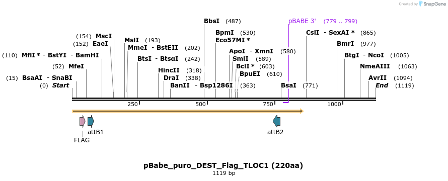 63327_map