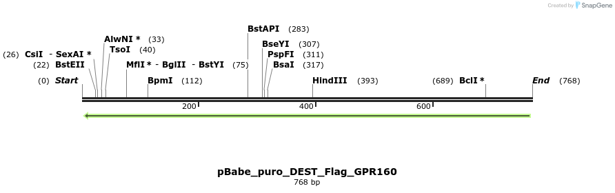 63328_map
