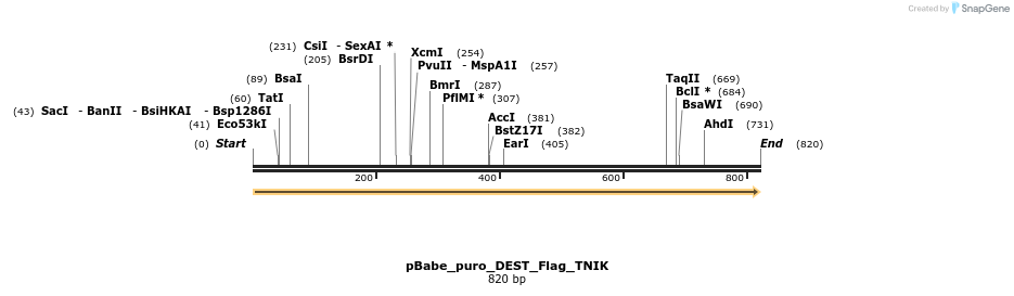 63329_map
