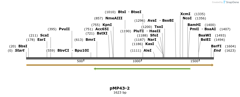 63330_map
