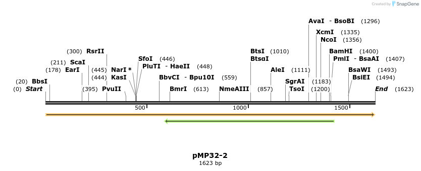 63331_map