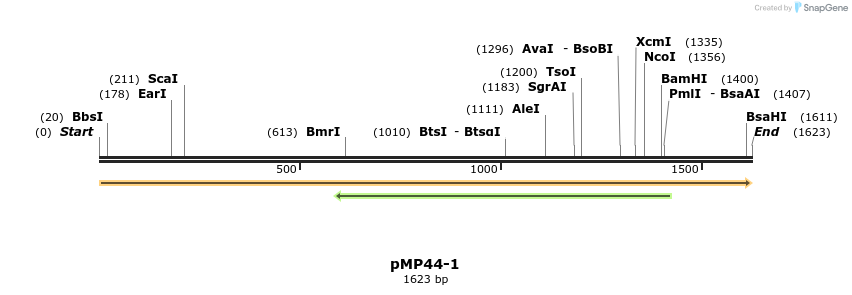 63332_map