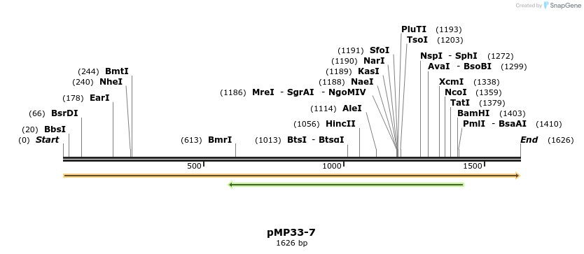 63333_map