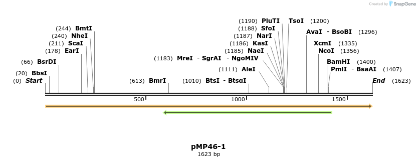 63334_map