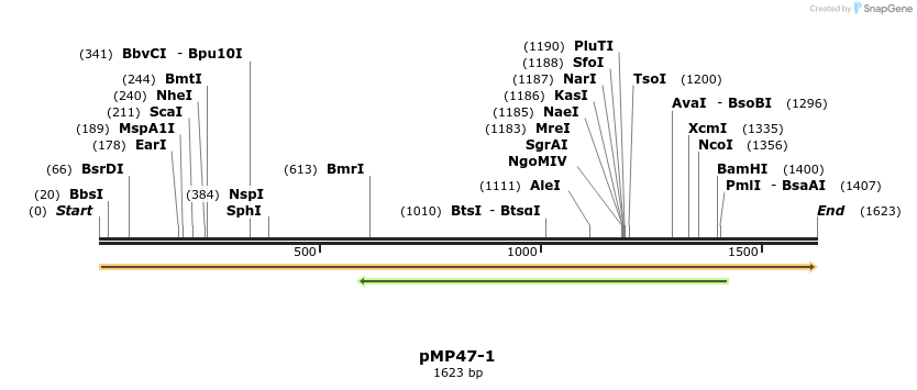 63335_map