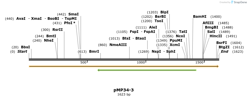 63336_map