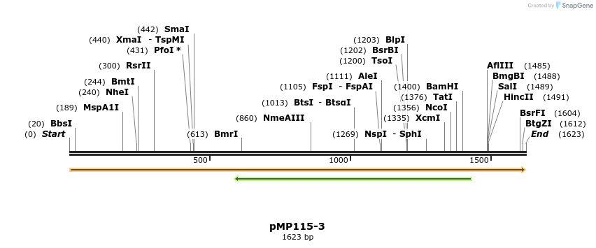 63337_map