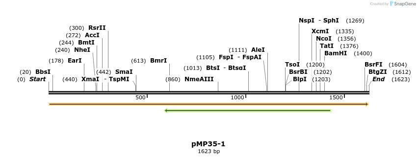 63338_map