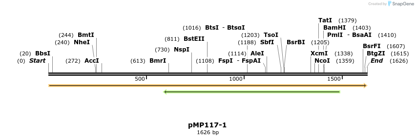63342_map