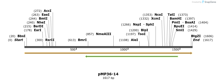 63343_map