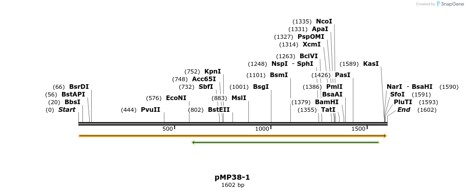 63345_map