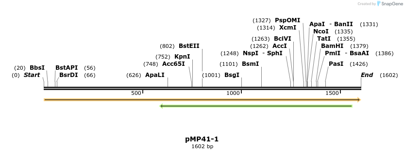 63346_map