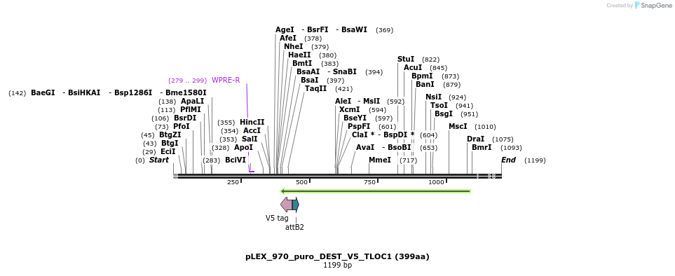 63348_map