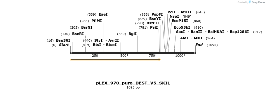 63349_map