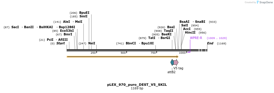 63350_map