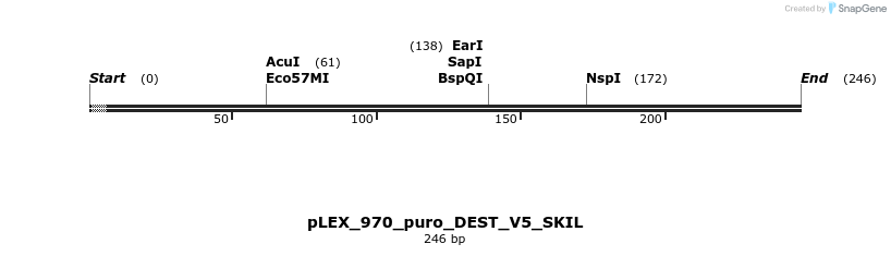 63351_map
