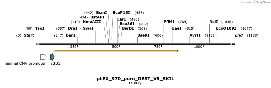 63352_map