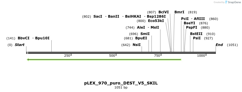 63353_map