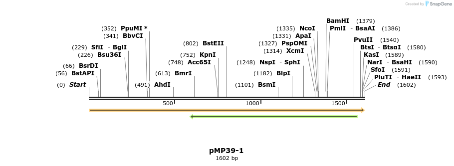 63359_map
