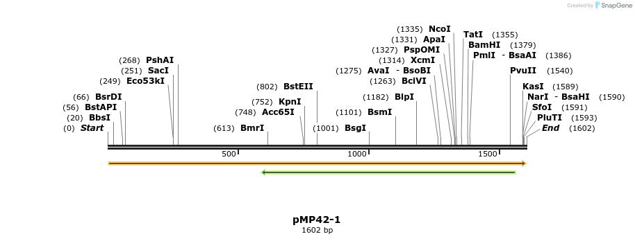 63362_map