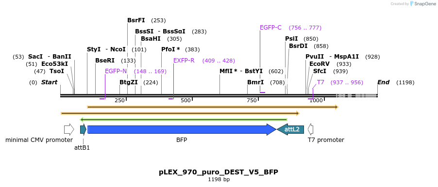63366_map