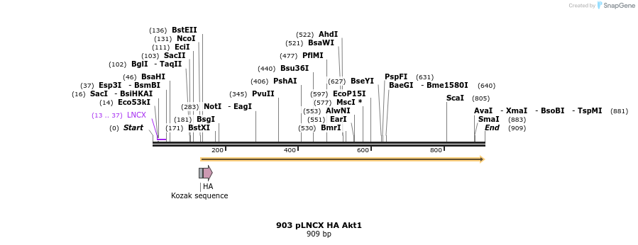 63367_map