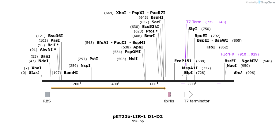 63370_map