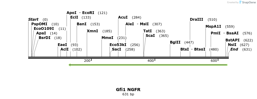 63371_map