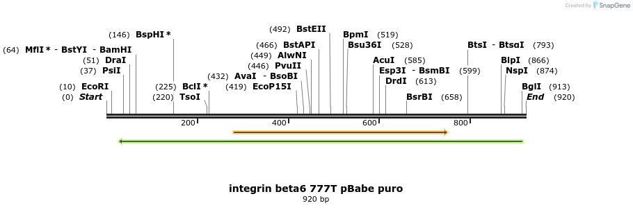 63372_map
