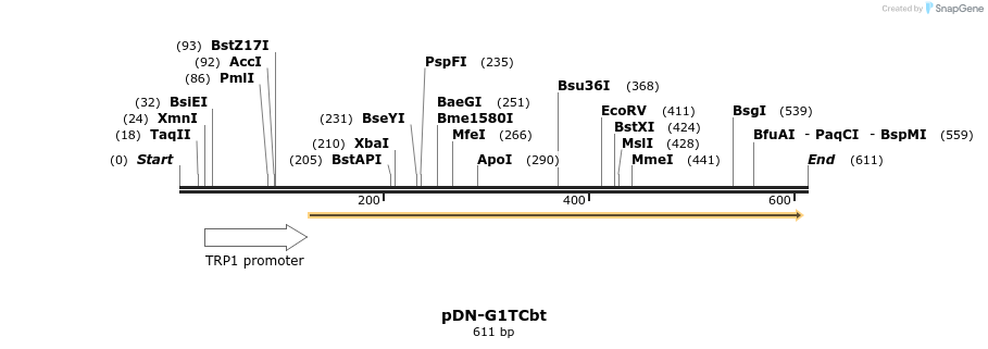 63373_map