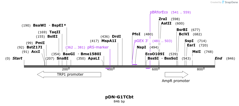63374_map