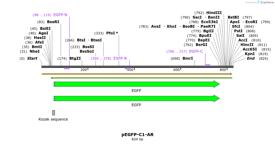 63375_map