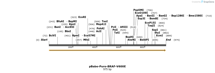 63385_map