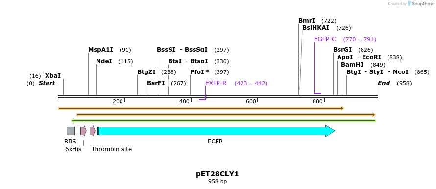 63389_map