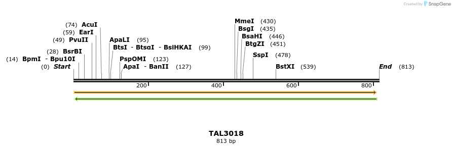 63390_map