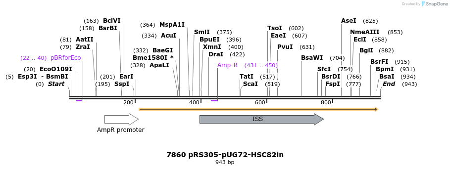 63392_map