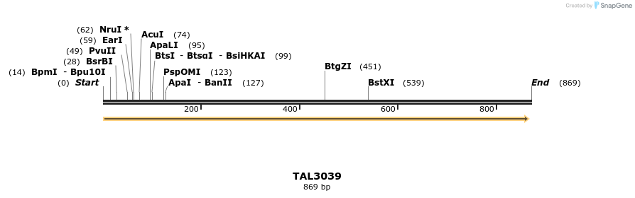 63393_map